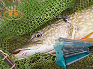 Raschel Fishing Net Machine Pa Knotless Gray Color Safety Net Machine Supplier