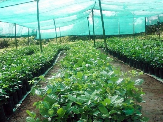 Double Needle Shade Sun Shade Net Machine DRCA Type HDPE Virgin Material Sunshine Green Shading Net Making Machine